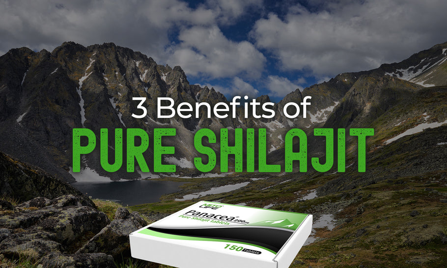 Three Benefits of Pure Shilajit