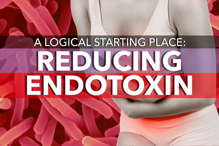 A Logical Starting Place: Reducing Endotoxin