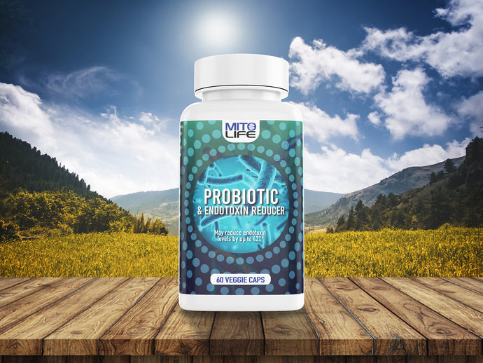 Probiotic and Endotoxin Reducer